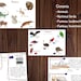 Continents Unit Printable, Continents Landmarks, Continents Birds ...