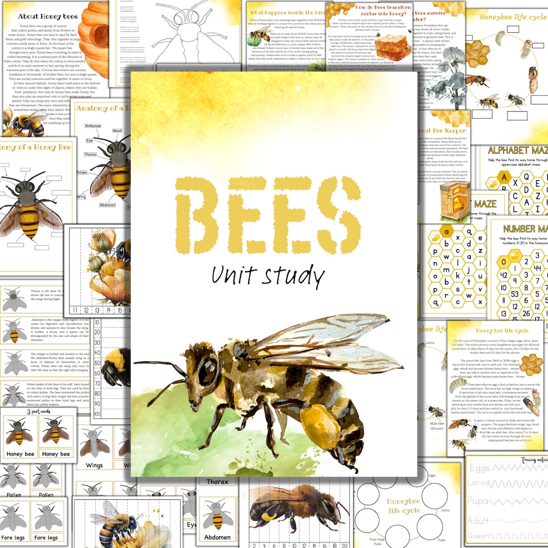 Honey Bee Unit Study Honey Bee Puzzle Printable Honey Bees