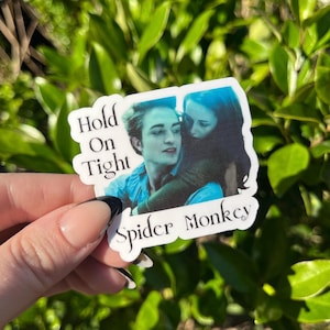 Sticker Twilight, Hold on Tight Spider Monkey Sticker, Cadeau Twilight, Sticker Kindle, Sticker Reader, Sticker Edward et Bella, Citation Twilight