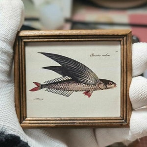 mini livre illustré de poissons】Miniature, petite, mini carte du monde, cadre photo vintage fait main, mini cadre photo