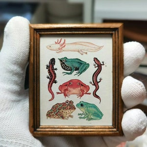 Mini-Amphibien-Serie: Miniatur, klein, Mini-Weltkarte, handgefertigter Vintage-Fotorahmen, Mini-Fotorahmen