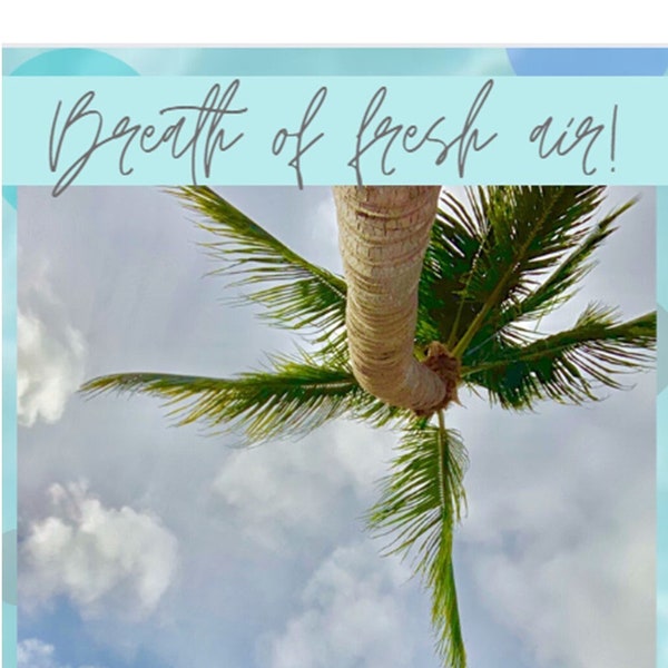 Breath of Fresh Air Etsy