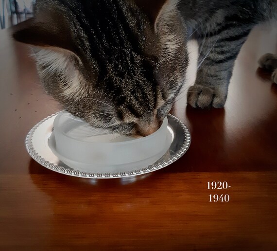 Original Cat Bowl Silver Bowl Chic Fancy Unique Luxury Vintage Pet Bowl Pet Food for Princess and Prince Etsy Australia