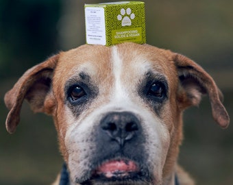 Shampoing naturel pour animaux de compagnie