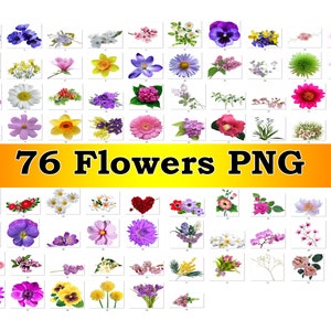 76 Flowers PNG| Sunflower flower| Floral ornaments| Colorful flowers PNG| Watercolor flower clipart| Digital print| Instant Download