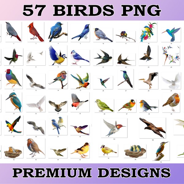 57 Birds PNG| Birds Clipart PNG| Watercolor Birds PNG| Birds Bundle| Digital Prints| Instant Download