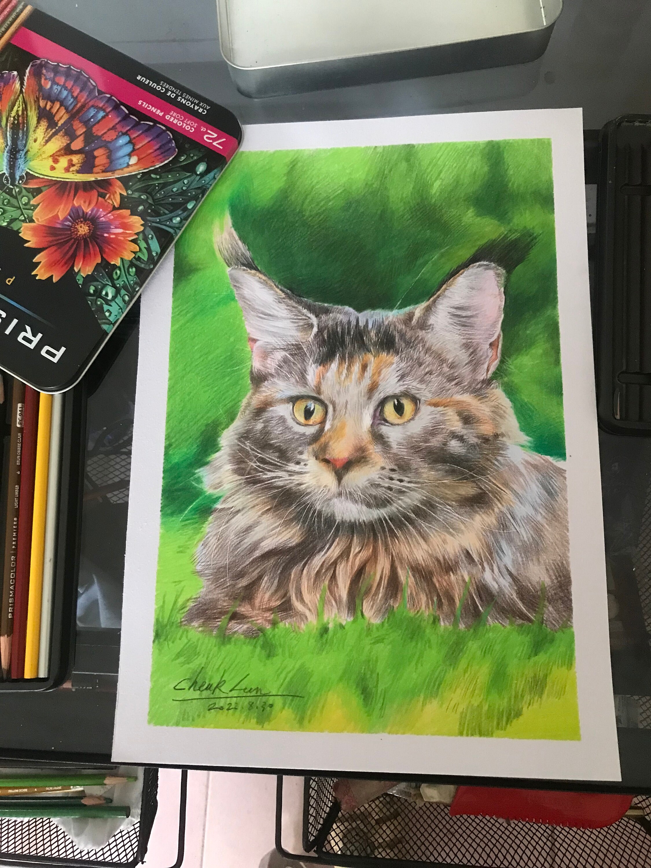 Hand Painted Dog Portrait Custom Pet Portrait Custom Pet Painting