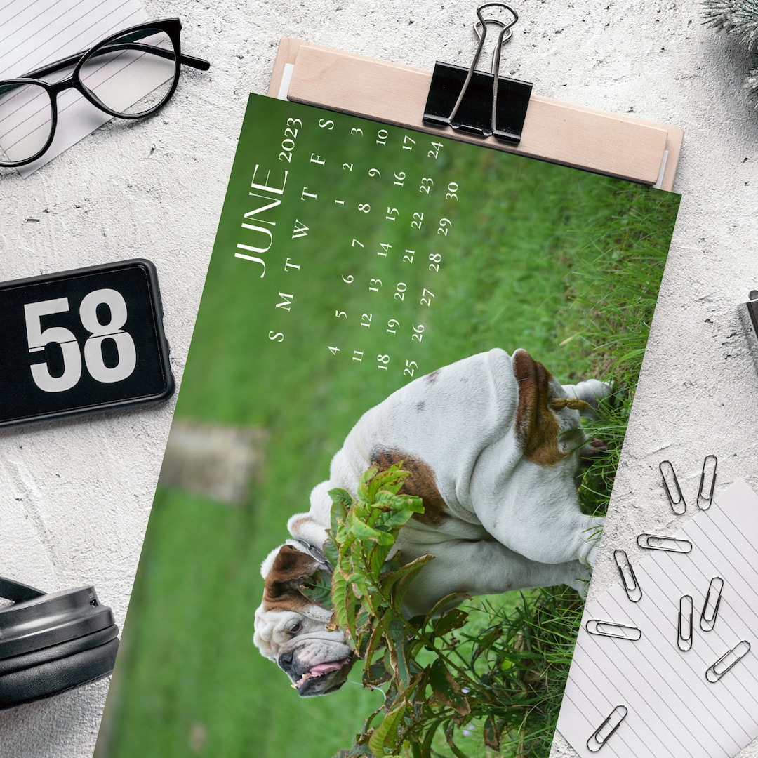 Funny Dog Calendar,pooping Dog Calender,make Yor Lovers Laughed Over It
