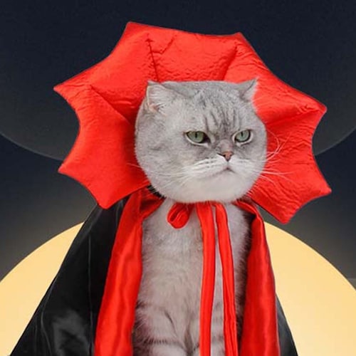 Halloween Pet Costume Cat Halloween Costume Countess Dracula Etsy