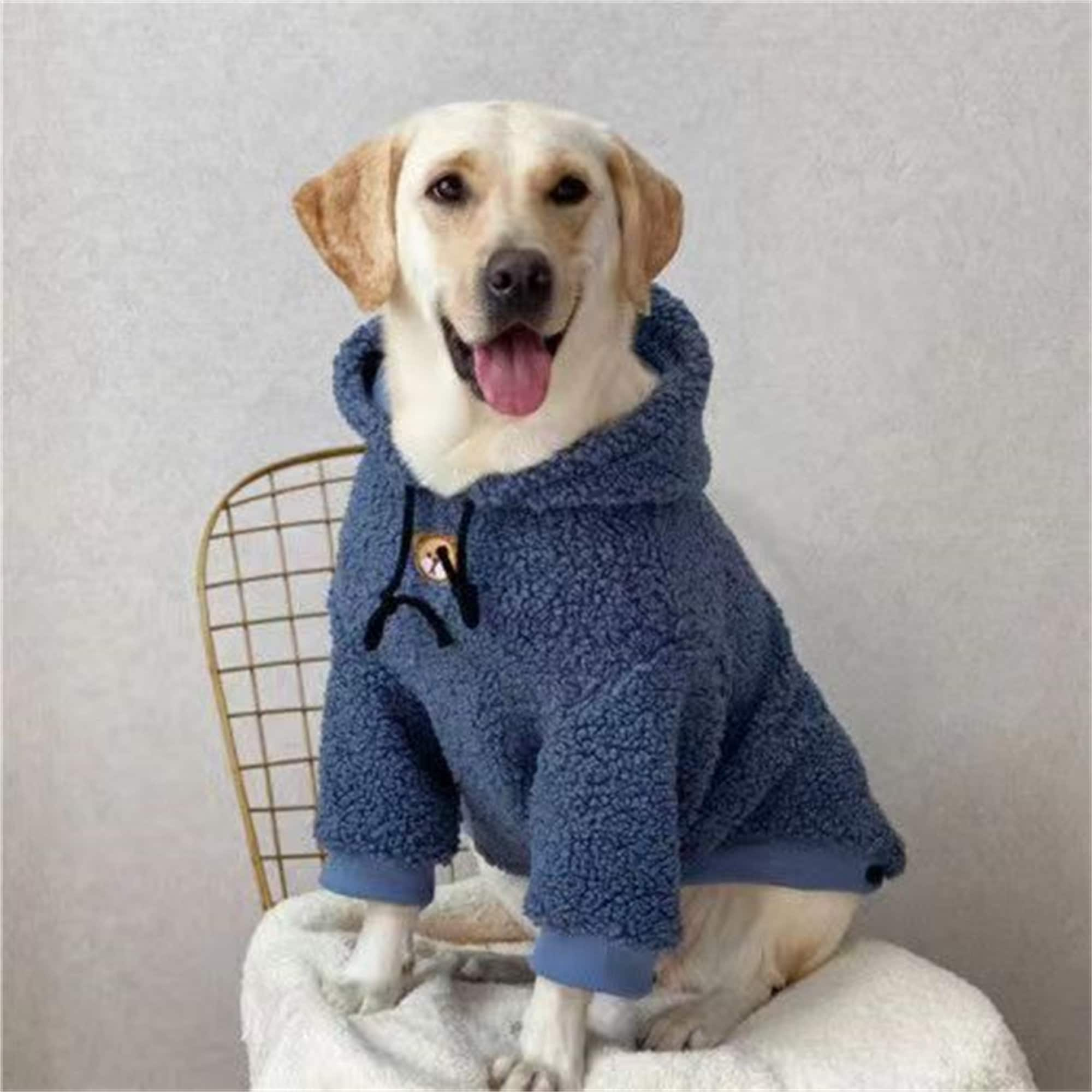 Shop Big Dog Clothes Celtics with great discounts and prices