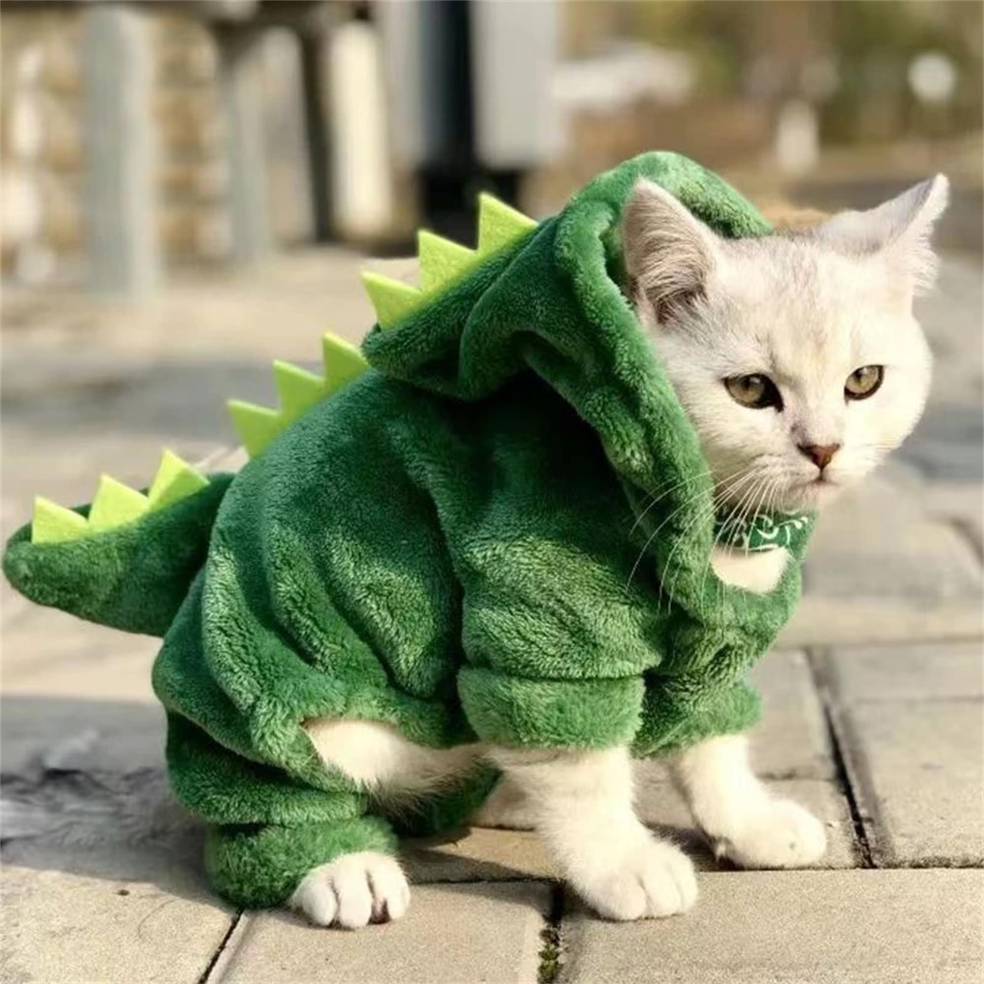 Cute Cat Clothes Puppy Coat Personalized Pet Clothes Cat Coat 