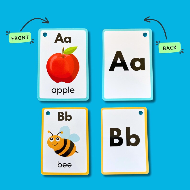 May include: Four flashcards with a hole at the top. The front of each card shows a letter of the alphabet, a picture, and the word for the picture. The back of each card shows the letter of the alphabet. The letters are A and B. The pictures are an apple and a bee.