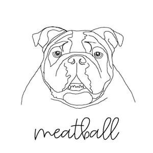Custom Pet Portraits