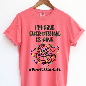 Professor Shirt, Funny College Professor Tshirt,PhD Gift,University Professor Tee, Prof Shirt, Gift for Professor,New Professor Gift, Unisex
