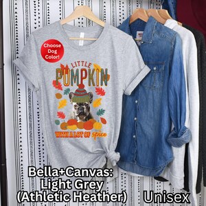 May include: Light grey Bella+Canvas unisex t-shirt with a graphic of a French bulldog wearing a pumpkin hat and the text "Little Pumpkin with a lot of spice".