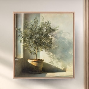 Potted Olive Tree Canvas Print, Mediterranean Window View Wall Art, Soft Light Home Decor
