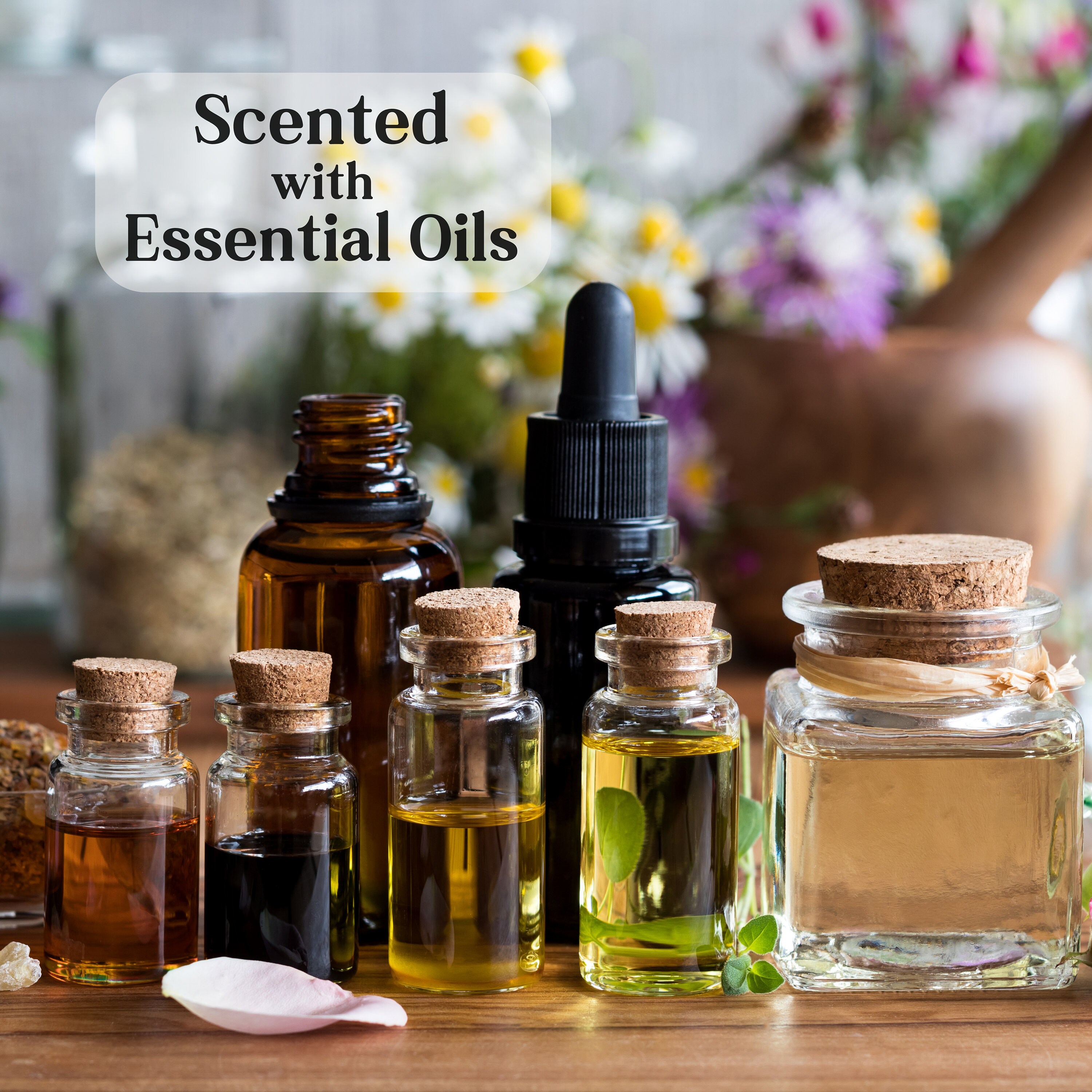 Twilight Soy Candle, Forks Washington Candle, Edward Cullen, Twilight