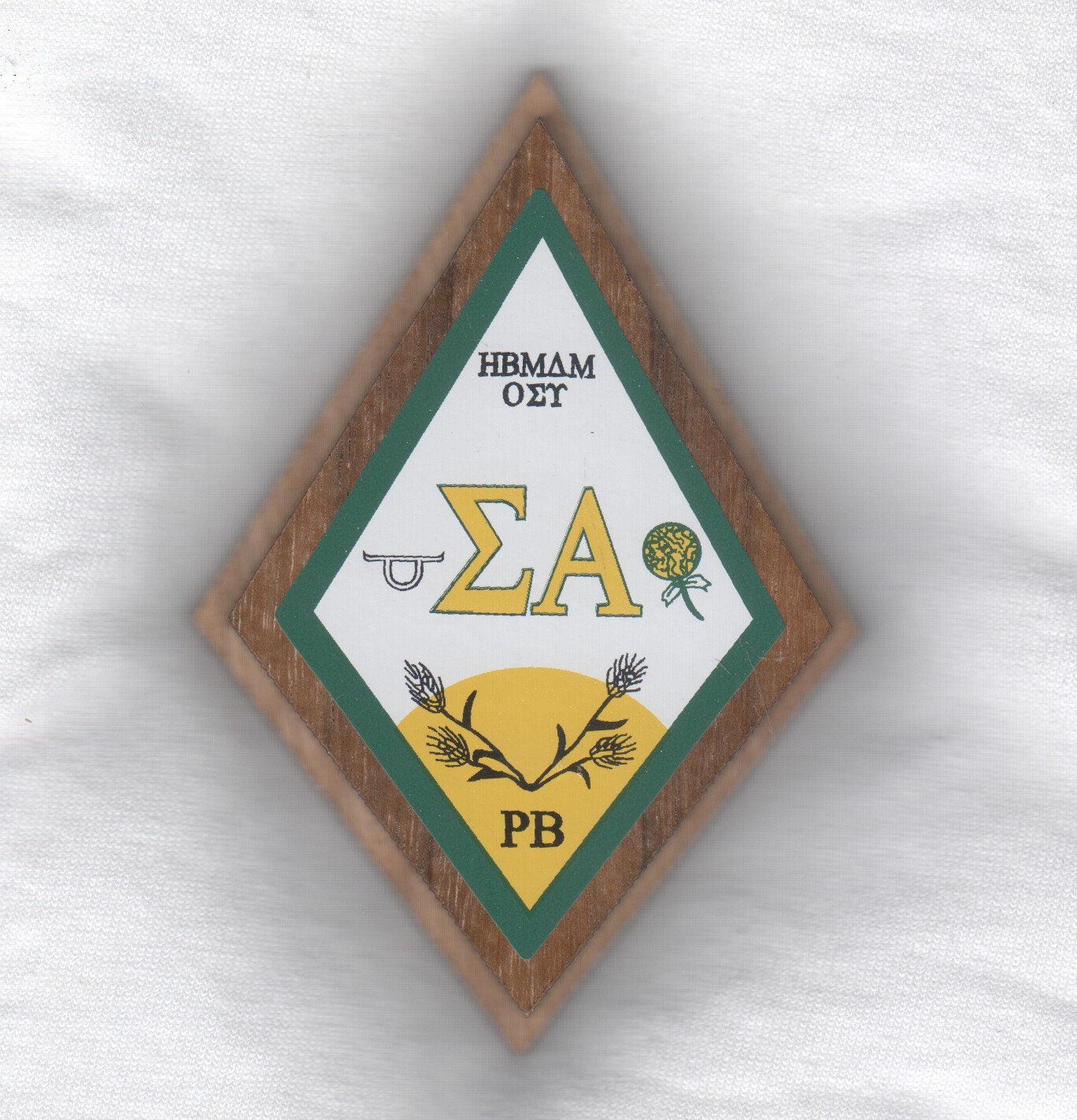 Sigma Alpha Emblem