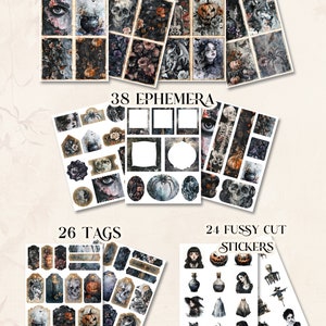 May include: A selection of Halloween-themed paper ephemera, including 16 cards, 38 ephemera pieces, 26 tags, and 24 stickers. The designs feature skulls, pumpkins, and floral patterns in dark, muted colours. The text "16 CARDS", "38 EPHEMERA", "26 TAGS", and "24 FUSSY CUT STICKERS" is visible.