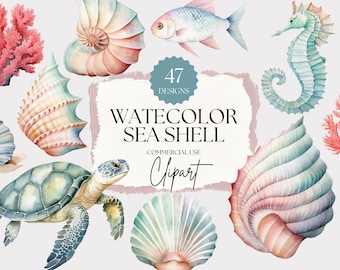 Clipart de conchas de mar de acuarela / Imágenes prediseñadas de conchas de acuarela, imágenes prediseñadas de mar de acuarela, PNG de conchas marinas, clip art náutico / uso comercial