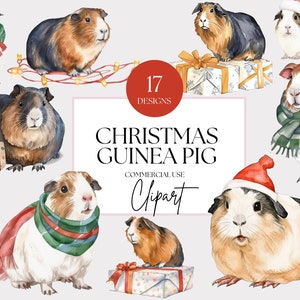 Christmas Watercolor Guinea Pig Clipart Bundle Pet Animals Sublimation Nursery Clipart Farm Nursery Watercolor Clipart Commercial Use