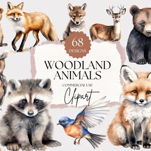Watercolor Woodland Animals Clipart | Baby Woodland Animals, Digital Crafting, Nursery Clipart, Forest Nursery Clipart, Commercial Use