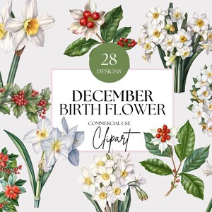 Grudniowy pakiet clipartów Birthflower, clipart kwiatów narodzin Birth Flowers PNG Clipart do szkółki, clipart akwareli do szkółki do użytku komercyjnego