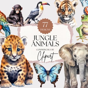 Clipart animaux de la Jungle aquarelle | Bébé animaux de la Jungle, artisanat numérique, pépinière Clipart, Jungle pépinière aquarelle Clipart, utilisation commerciale