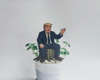 Trump in a Stump: Laser-Engraved Political Satire Art