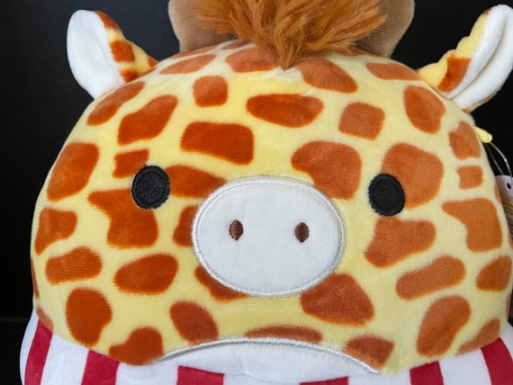 Gary squishmallow sale