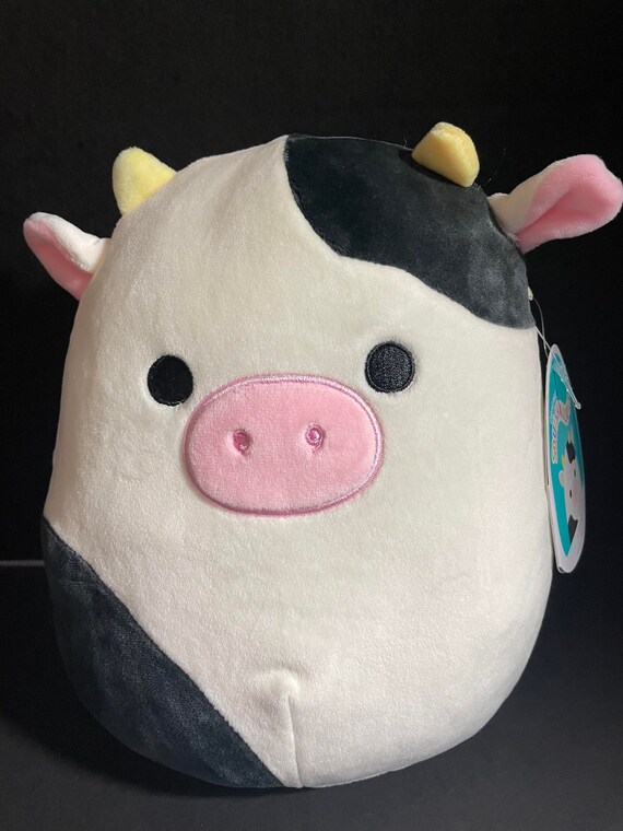 connor squishmallow 8