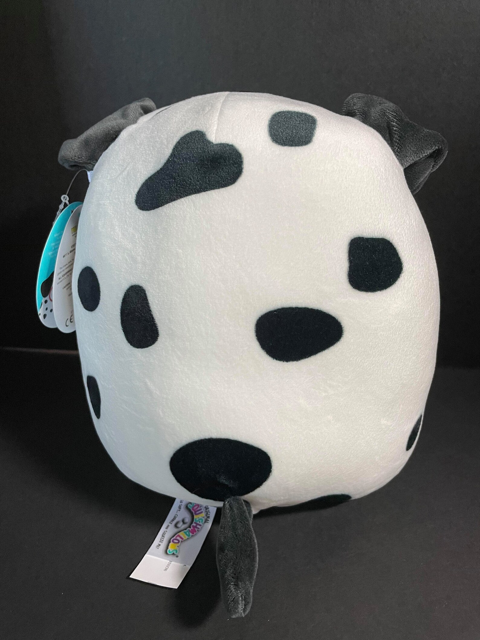 Squishmallow 8 Dustin Dalmatian W/glasses W/custom - Etsy