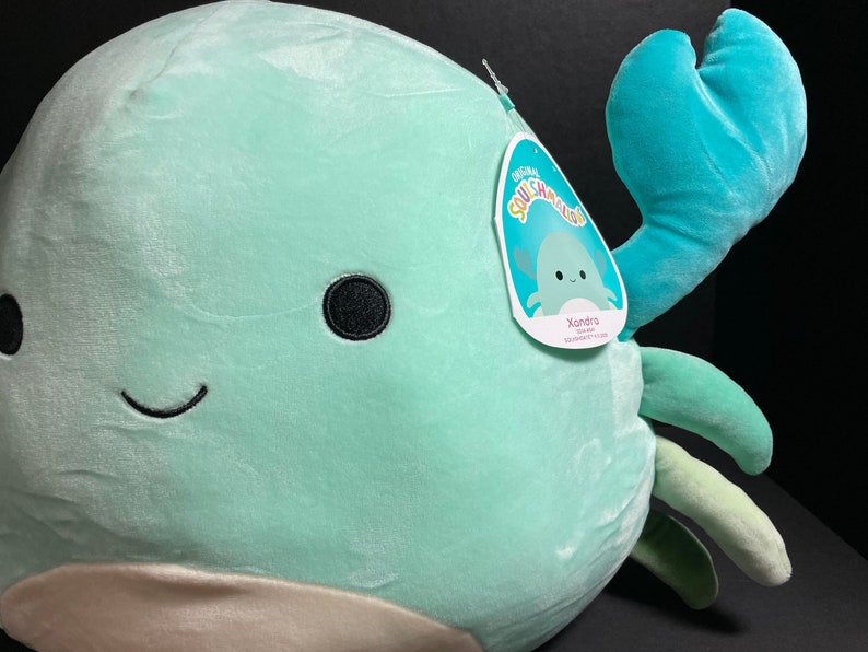 xandra squishmallow