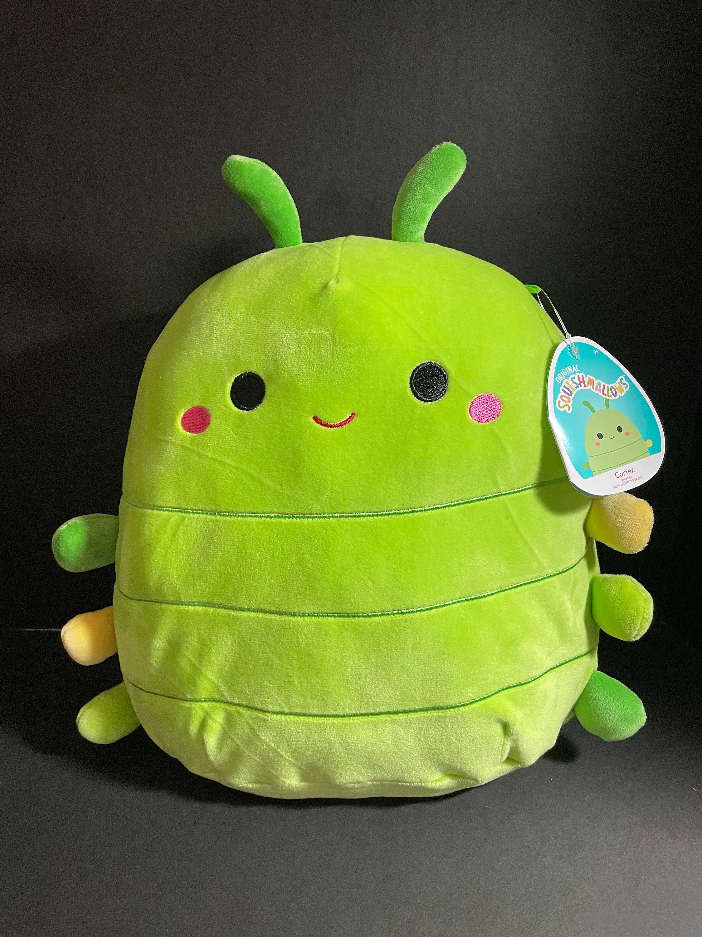 Squishmallow 12 Cortez Green Caterpillar W/custom Hand-made Beaded