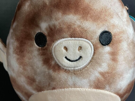brown pterodactyl squishmallow