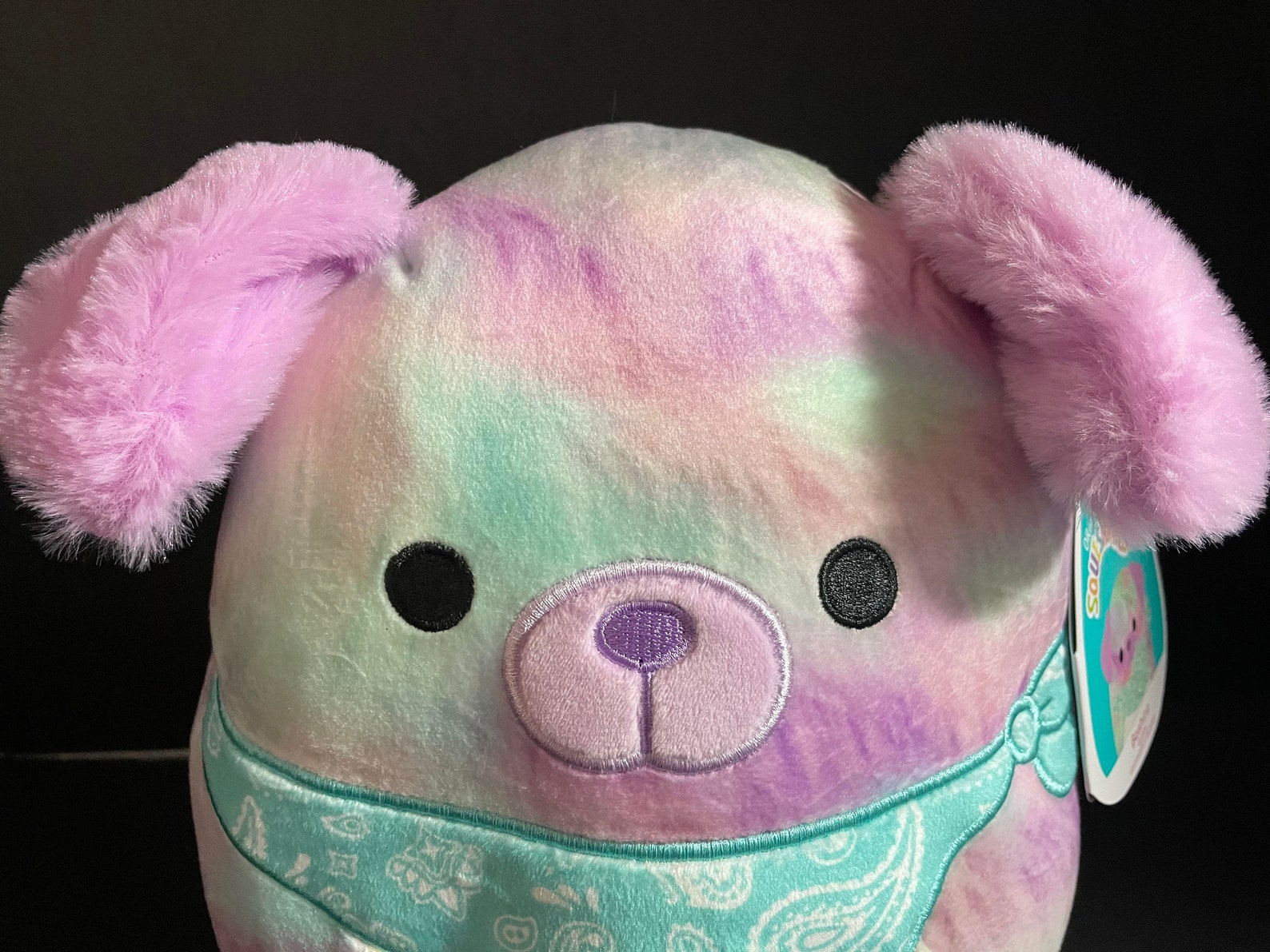 Squishmallow 8 Bashira Dog Bandana W/custom Handmade Etsy