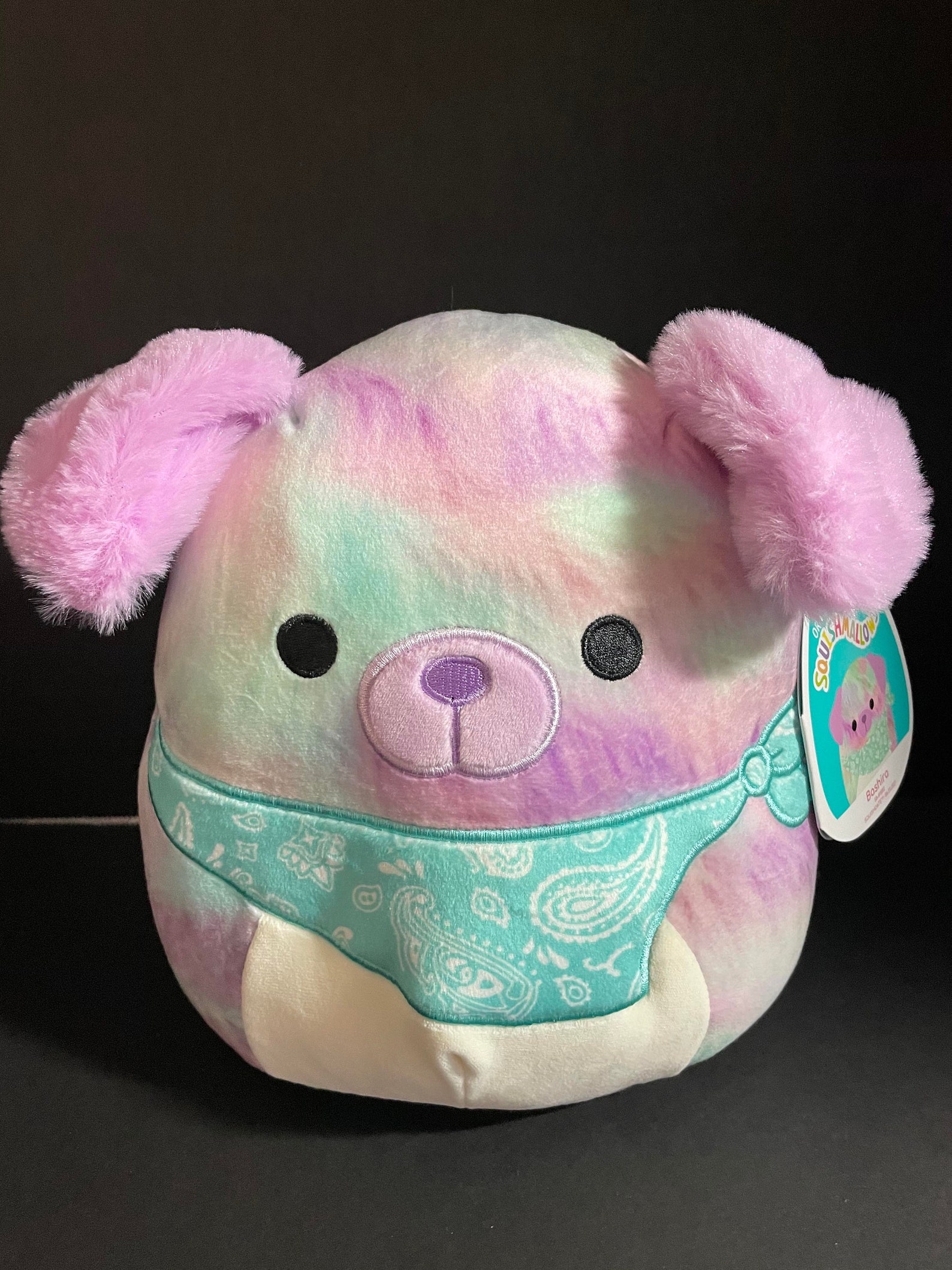 Squishmallow 8 Bashira Dog Bandana W/custom Handmade Etsy