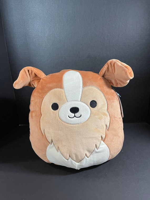 squishmallow sheltie