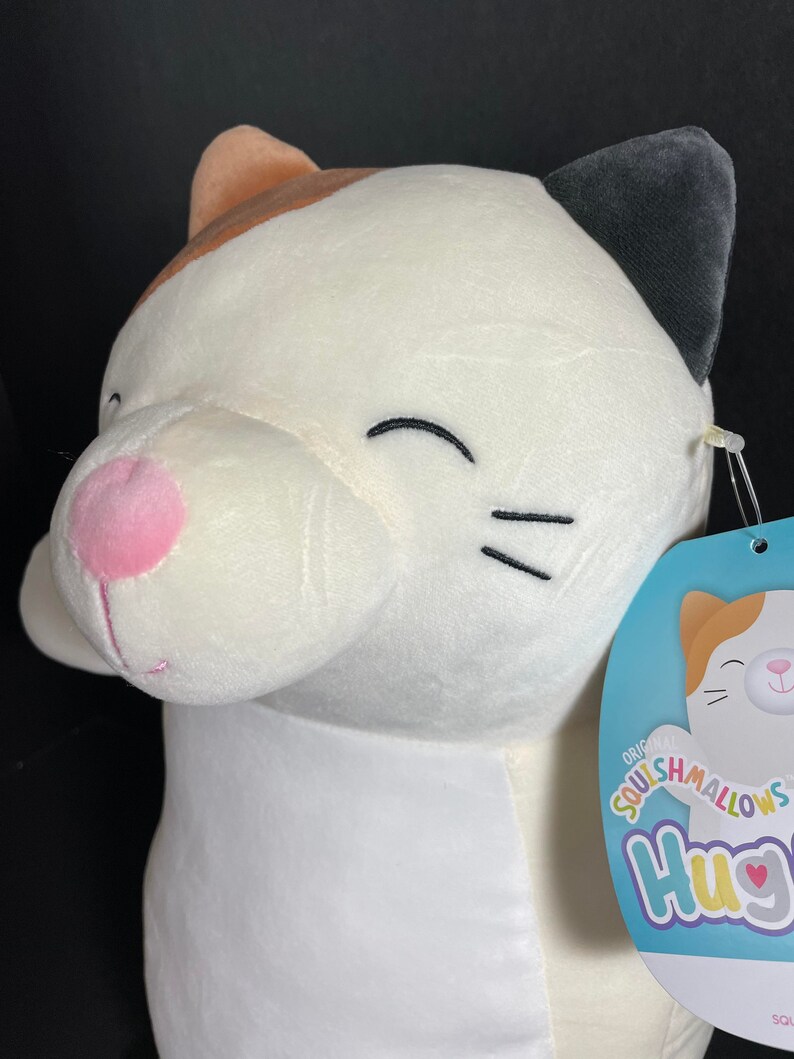 Squishmallow 14 Cam Calico Cat Hugmee W/custom Handmade Etsy
