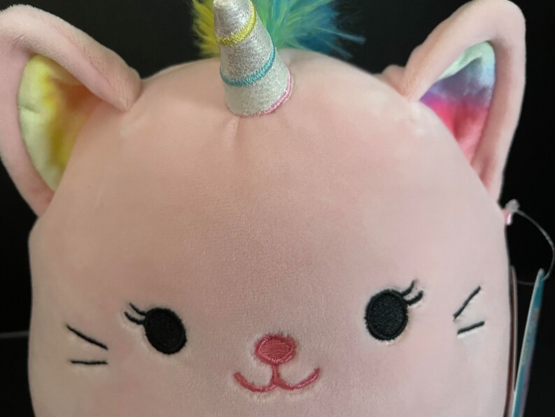 Squishmallow 8 Sabrina Caticorn W/custom Handmade Etsy