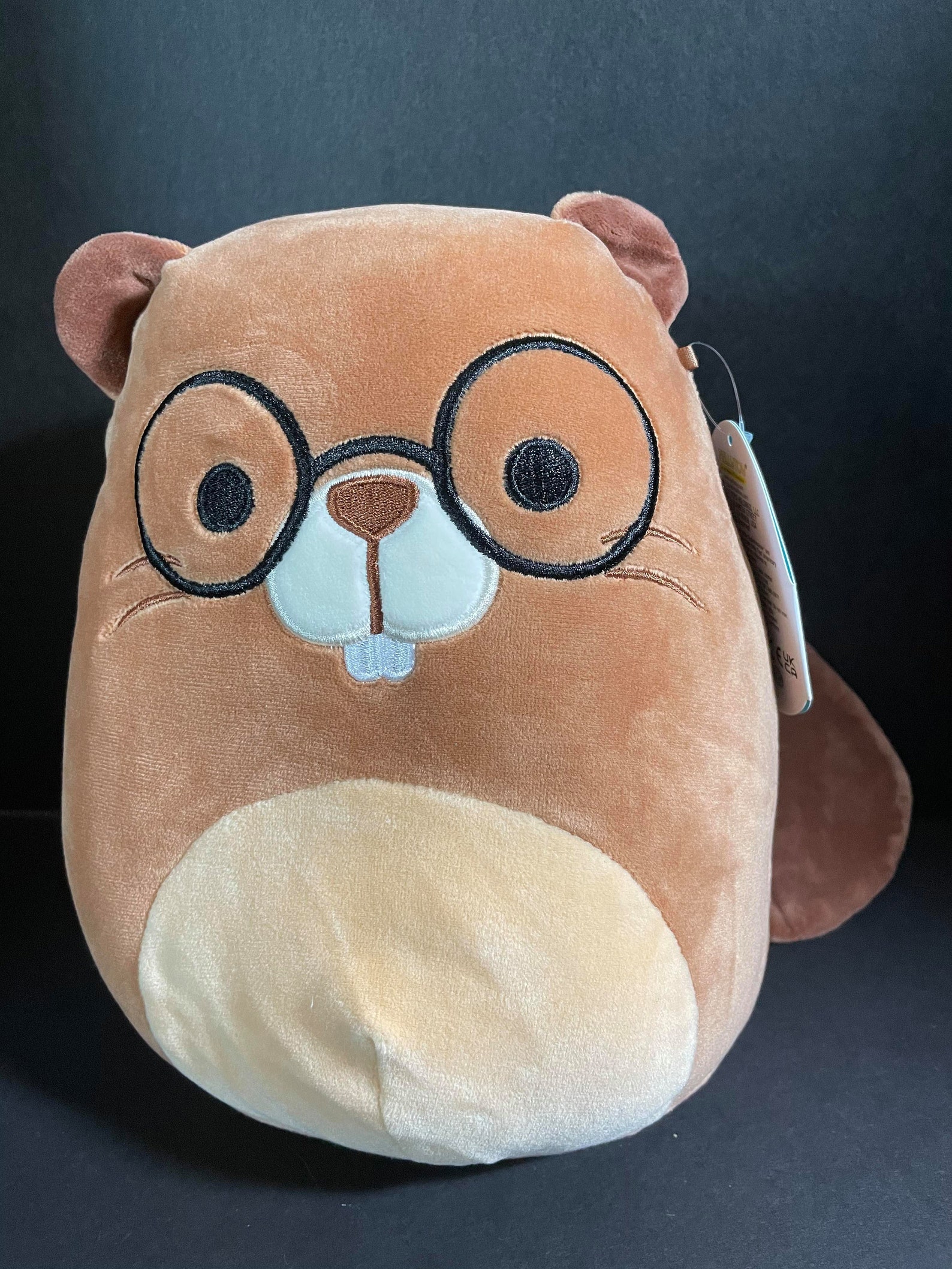 Squishmallow 8 Chip Beaver W/glasses W/custom Handmade Etsy