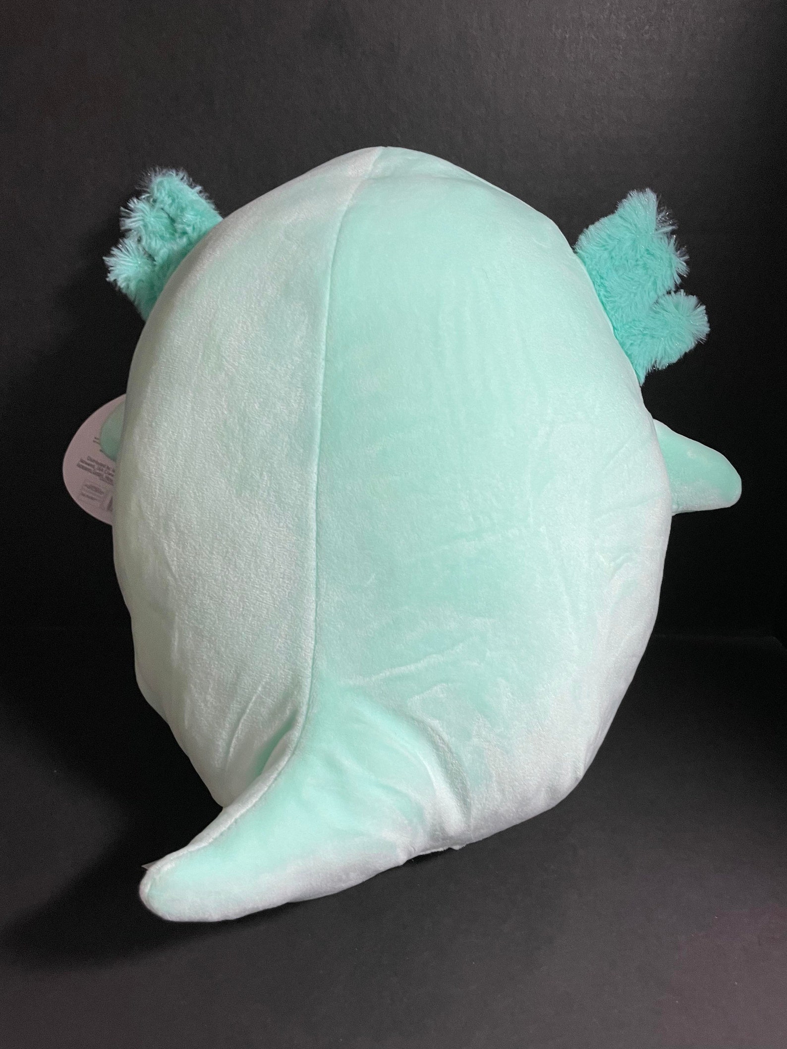 anastasia axolotl squishmallow anastasia axolotl squishmallow