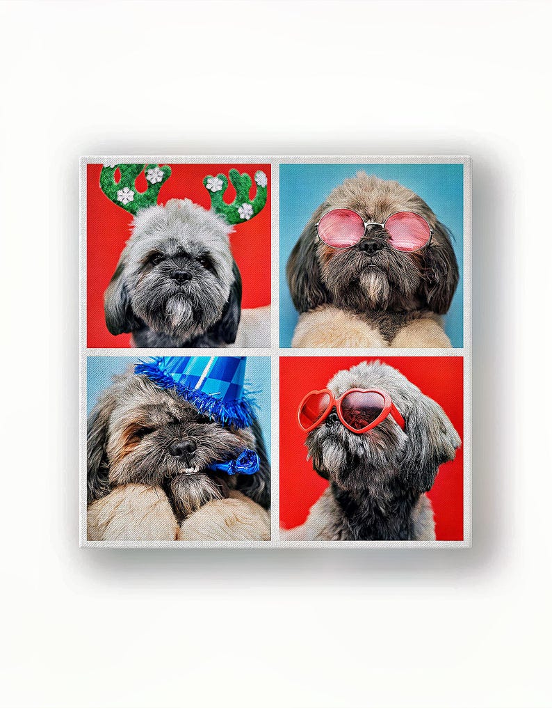 Pet photo collage canvas — 4-photo square layout with fun dog portraits and colourful backgrounds.