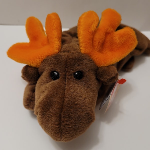 1994 Ty Beanie Babies Chocolate the Moose with Hang Tag