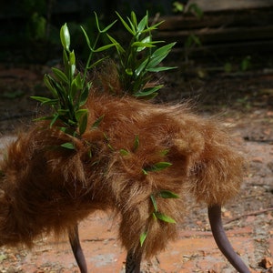 May include: A brown furry creature with long legs and green leafy plants growing on its back. The creature is standing on a brown and red surface.