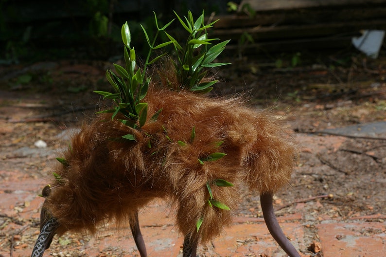 May include: A brown furry creature with long legs and green leafy plants growing on its back. The creature is standing on a brown and red surface.