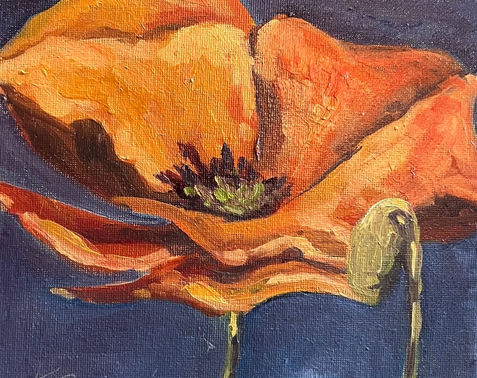 Winsome Poppy Painting