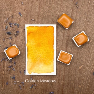 Op de afbeelding: Een aquarelverfpan met een staal van Golden Meadow aquarelverf. De verf is een heldere geel-oranje kleur. Er zijn vier extra aquarelverfpannetjes op de afbeelding.