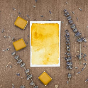 May include: A still-life composition featuring a watercolor painting with a yellow gradient, three square paint pans, and sprigs of lavender on a wooden surface. The paint pans are a golden yellow color.