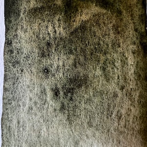 May include: A dark green watercolor wash on textured paper. The wash is darker in the center and fades to a lighter green at the edges.